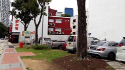 Tanjong Pagar Conservation Area (D2), Shop House #627459131
